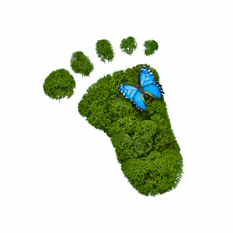 huella de carbono